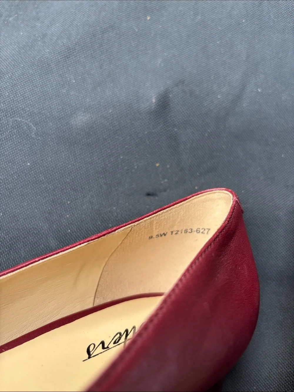 Trotters sleek pointed